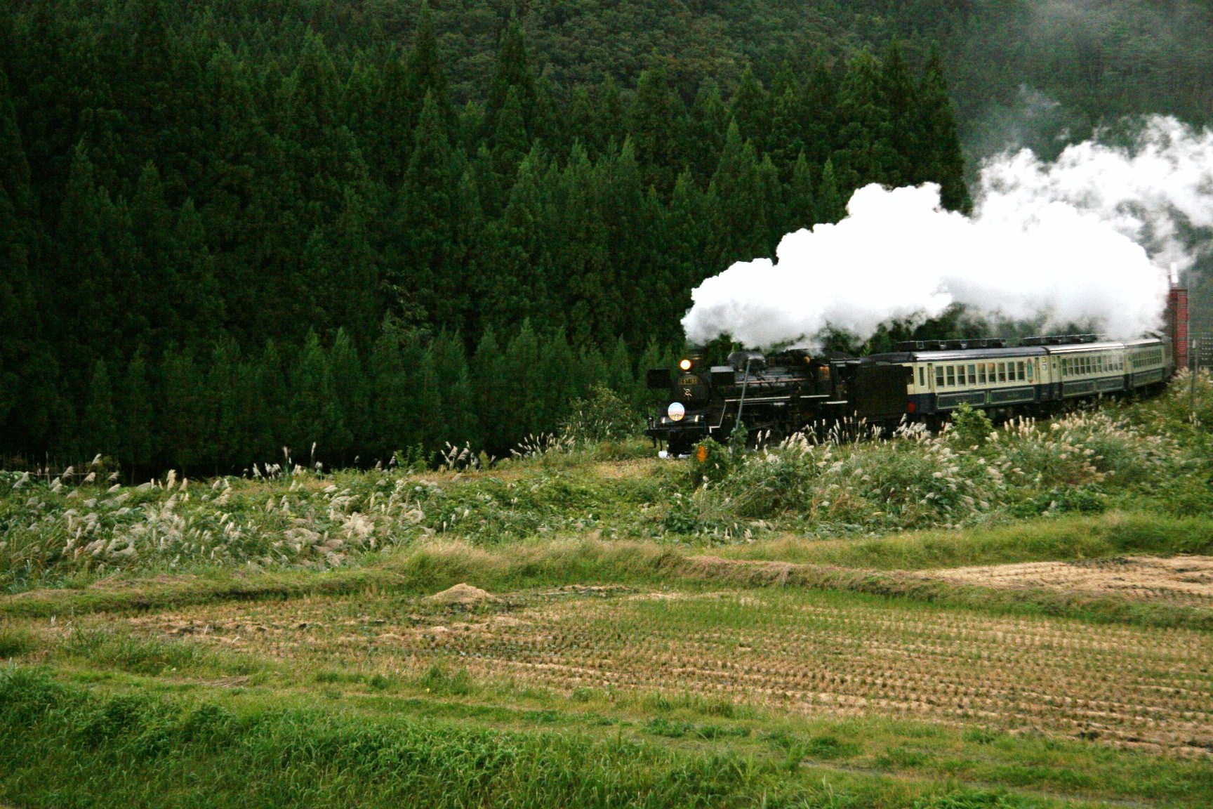20091011_0200.JPG